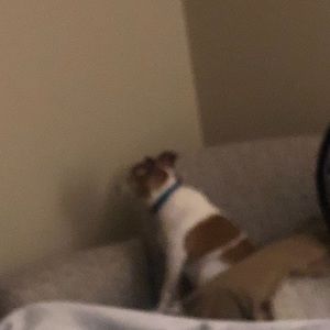 Meet your Posher, Caroline